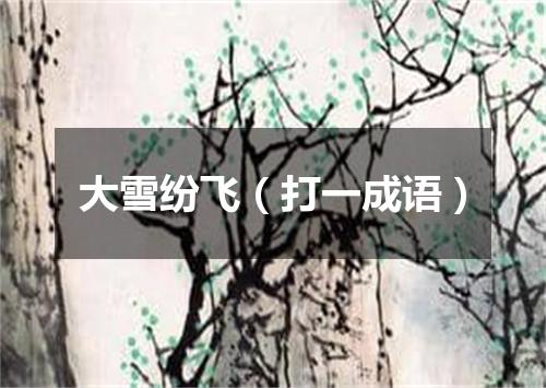 大雪纷飞（打一成语）