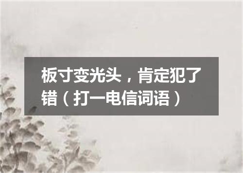 板寸变光头，肯定犯了错（打一电信词语）