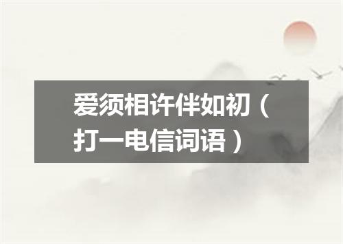 爱须相许伴如初（打一电信词语）