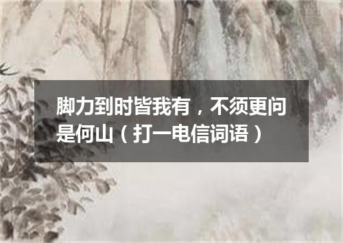脚力到时皆我有，不须更问是何山（打一电信词语）