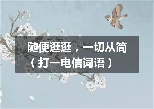 随便逛逛，一切从简（打一电信词语）