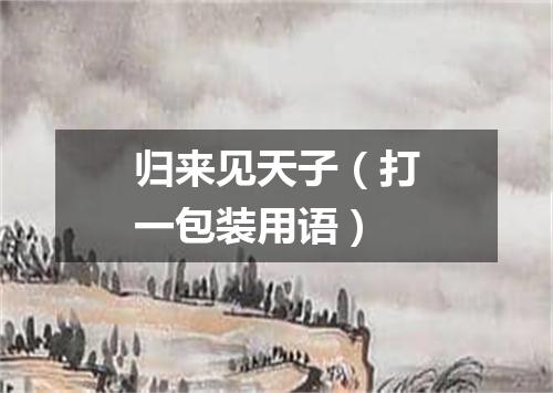 归来见天子（打一包装用语）