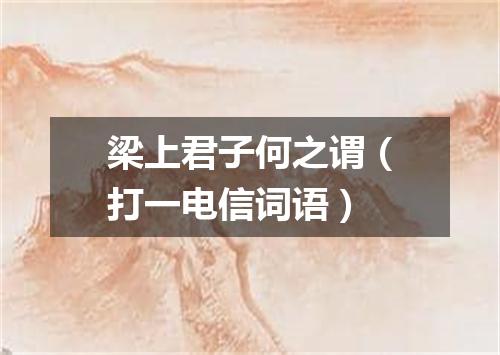 梁上君子何之谓（打一电信词语）