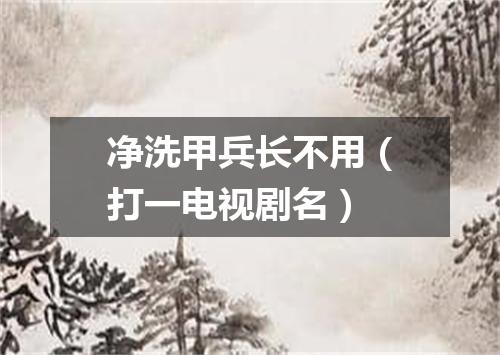 净洗甲兵长不用（打一电视剧名）