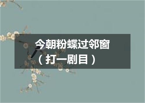 今朝粉蝶过邻窗（打一剧目）