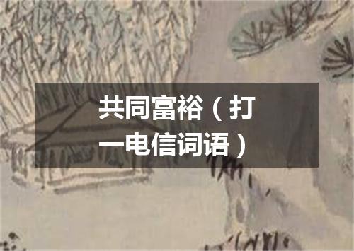 共同富裕（打一电信词语）
