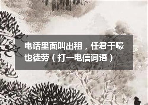 电话里面叫出租，任君干嚎也徒劳（打一电信词语）