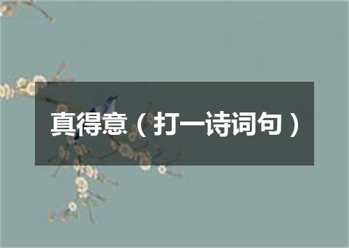 真得意（打一诗词句）