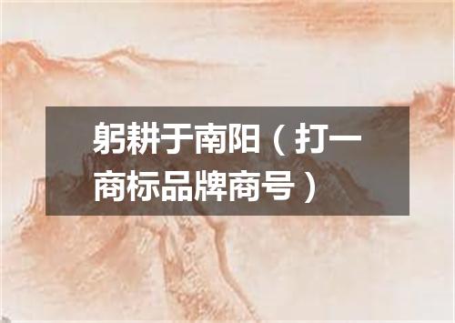 躬耕于南阳（打一商标品牌商号）