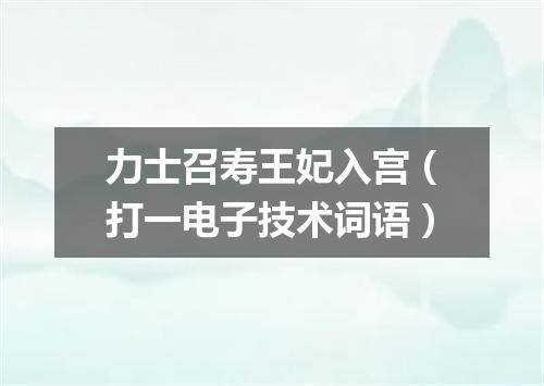 力士召寿王妃入宫（打一电子技术词语）