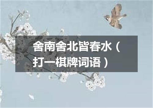 舍南舍北皆春水（打一棋牌词语）