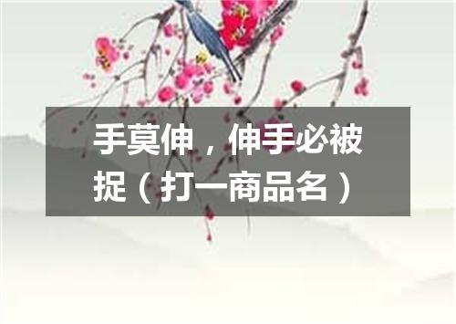 手莫伸，伸手必被捉（打一商品名）