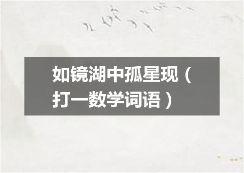 如镜湖中孤星现（打一数学词语）