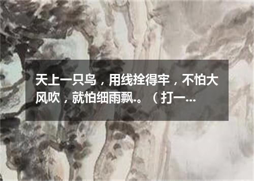 天上一只鸟，用线拴得牢，不怕大风吹，就怕细雨飘.。（打一玩具）