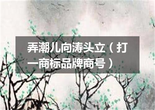 弄潮儿向涛头立（打一商标品牌商号）