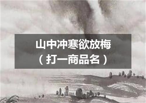 山中冲寒欲放梅（打一商品名）