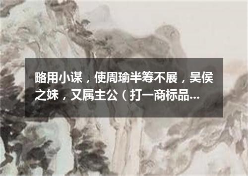 略用小谋，使周瑜半筹不展，吴侯之妹，又属主公（打一商标品牌商号）