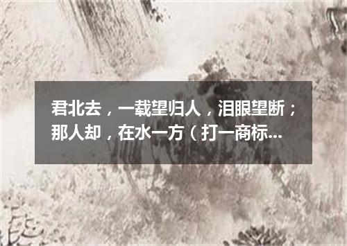 君北去，一载望归人，泪眼望断；那人却，在水一方（打一商标品牌商号）