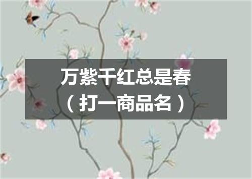 万紫千红总是春（打一商品名）