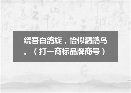 绕吾白鸽旋，恰似鹦鹉鸟。（打一商标品牌商号）