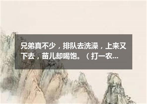 兄弟真不少，排队去洗澡，上来又下去，苗儿却喝饱。（打一农机具）