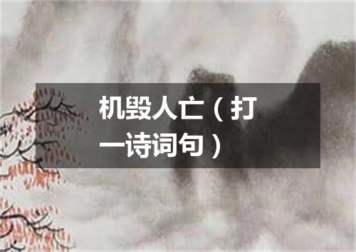 机毁人亡（打一诗词句）