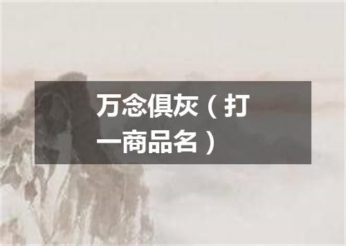 万念俱灰（打一商品名）