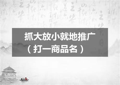 抓大放小就地推广（打一商品名）