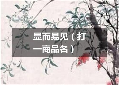 显而易见（打一商品名）