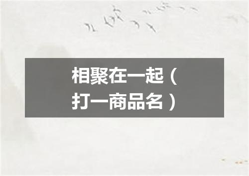相聚在一起（打一商品名）