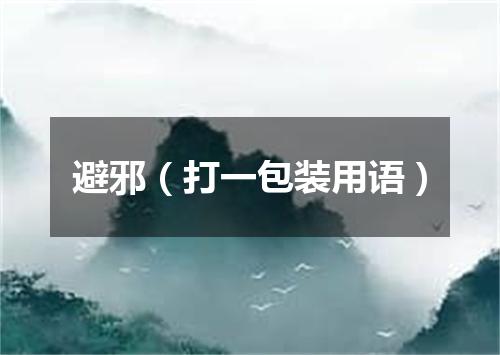 避邪（打一包装用语）