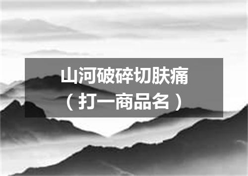 山河破碎切肤痛（打一商品名）