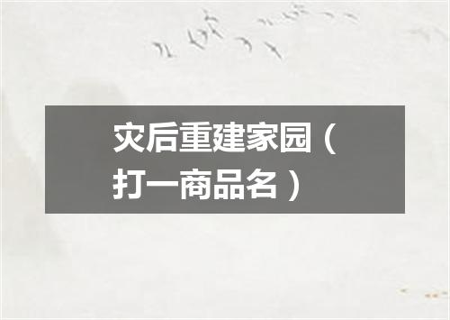 灾后重建家园（打一商品名）