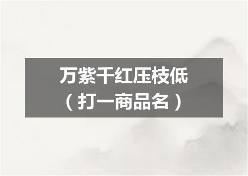 万紫千红压枝低（打一商品名）