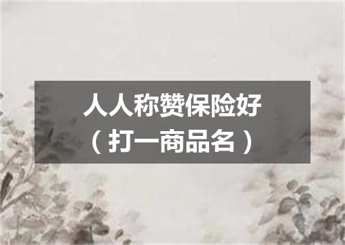 人人称赞保险好（打一商品名）