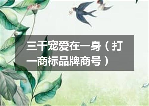 三千宠爱在一身（打一商标品牌商号）