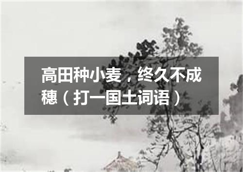 高田种小麦，终久不成穗（打一国土词语）