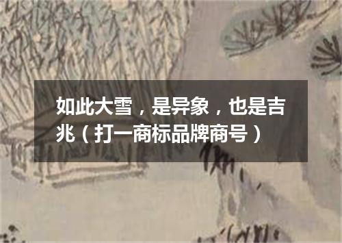 如此大雪，是异象，也是吉兆（打一商标品牌商号）