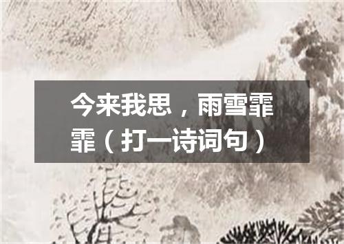 今来我思，雨雪霏霏（打一诗词句）