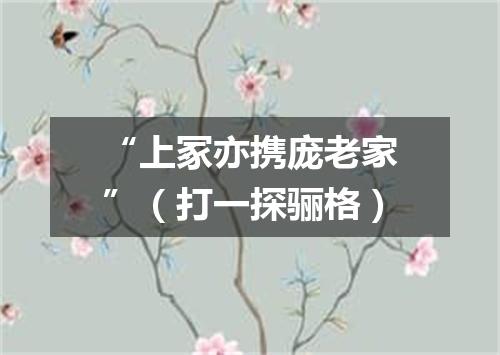 “上冢亦携庞老家”（打一探骊格）