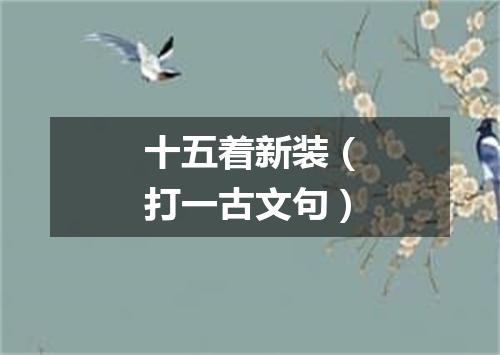 十五着新装（打一古文句）