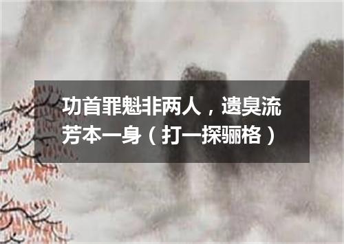 功首罪魁非两人，遗臭流芳本一身（打一探骊格）