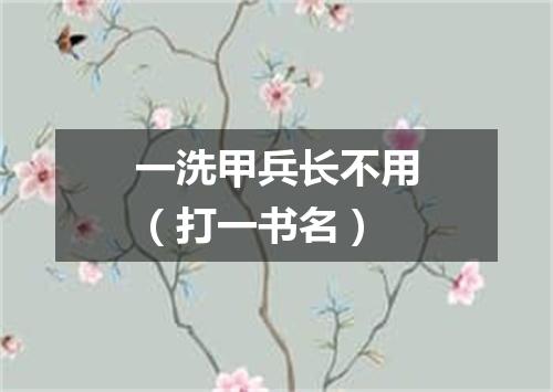 一洗甲兵长不用（打一书名）