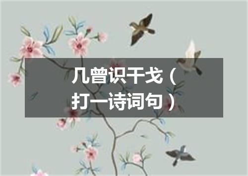 几曾识干戈（打一诗词句）