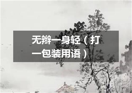 无辫一身轻（打一包装用语）