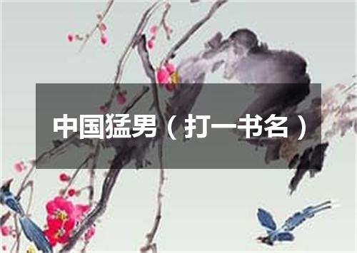 中国猛男（打一书名）