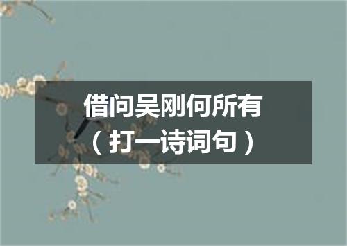 借问吴刚何所有（打一诗词句）