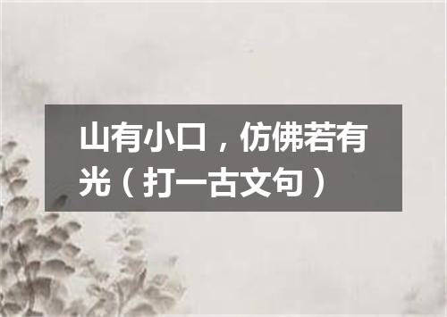山有小口，仿佛若有光（打一古文句）