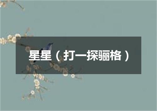星星（打一探骊格）