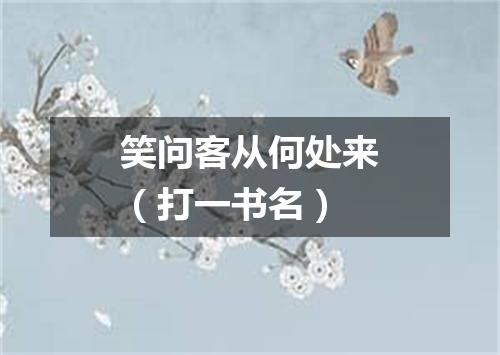 笑问客从何处来（打一书名）